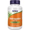 imageNOW Foods Supplements Astragalus Astragalus membranaceus 500 mg Immune System Support 100 Capsules100 Count Pack of 1
