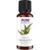 imageNOW Essential Oils Eucalyptus Oil Clarifying Aromatherapy Scent Steam Distilled 100 Pure Vegan Child Resistant Cap 1Ounce