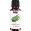 imageNOW Essential Oils Eucalyptus Radiata Oil Revitilizing Aromatherapy Scent Steam Distilled 100 Pure Vegan Child Resistant Cap 1Ounce